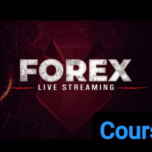 Gaurdeer Forex Live Classes